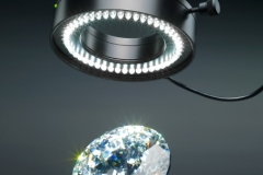 led-ringlicht-swarovski-18